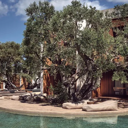 Olea Hotel, A Member Of Design (adults Only) 5* Planos